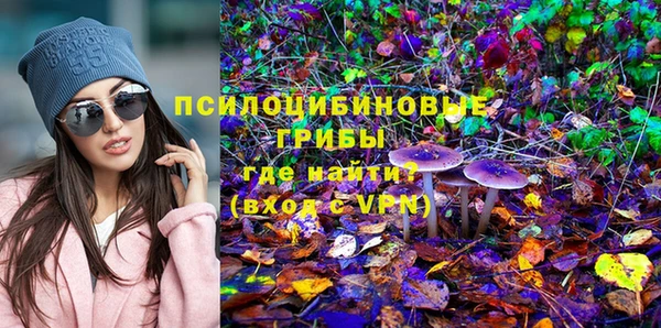mdpv Александровское