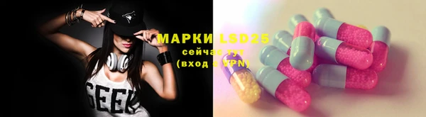 стафф Кущёвская