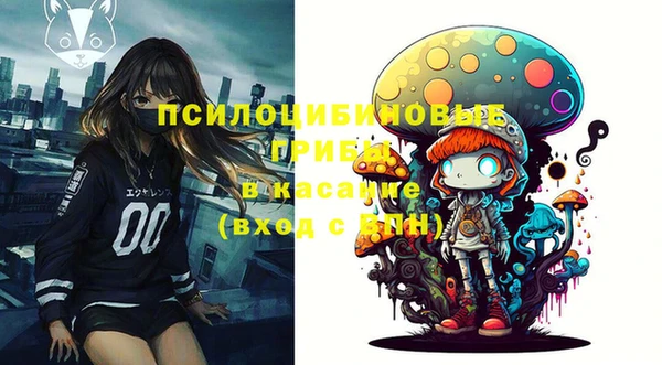 ГАЛЛЮЦИНОГЕННЫЕ ГРИБЫ Зерноград