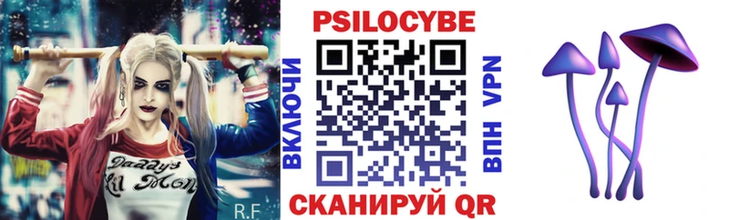 где купить наркоту  Орёл  Галлюциногенные грибы Cubensis 
